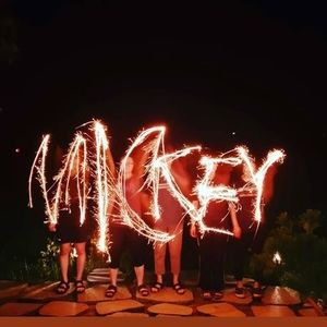 Meet your Posher, Mickey